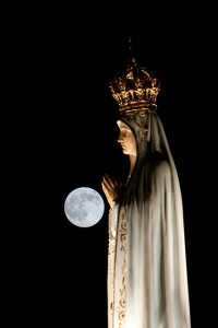 10305033_800451216641134_8445456383438842538_n